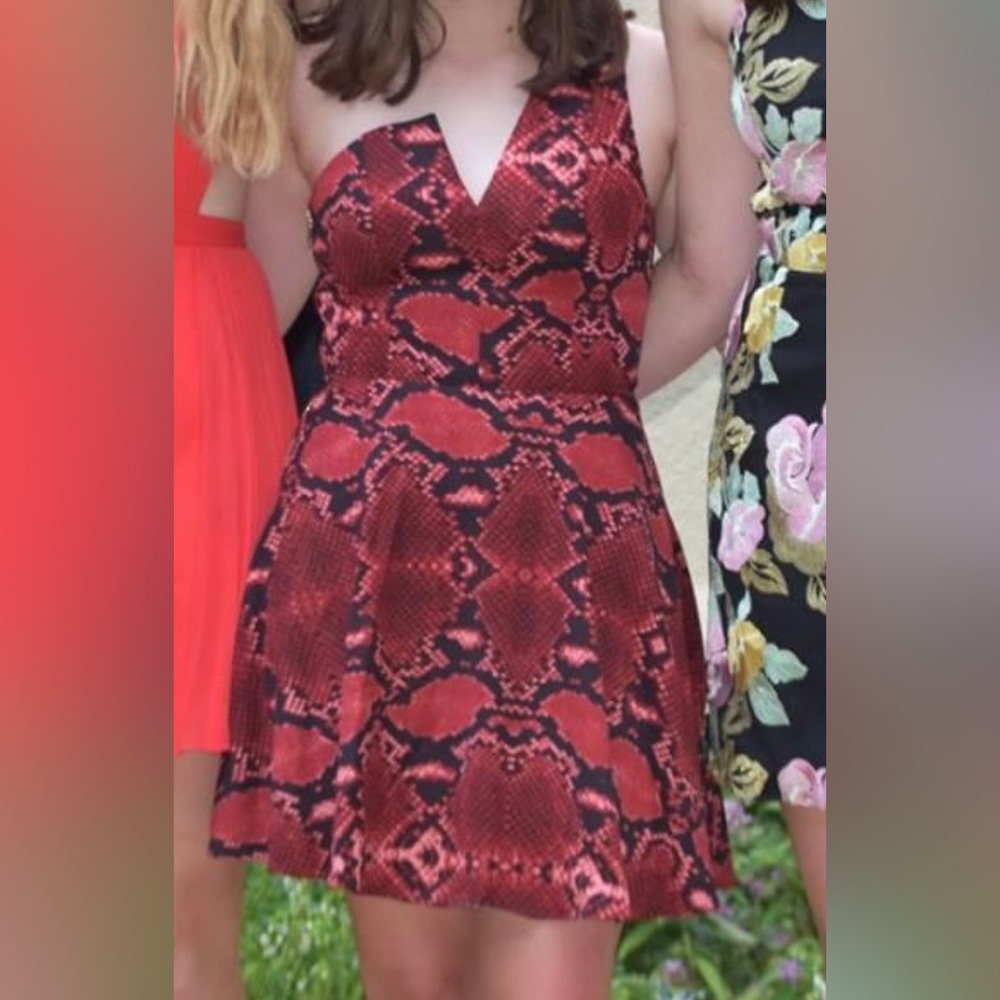 NBD snake print dress, size small